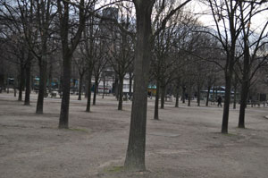 Quinconce de tilleuls rénové dans les années 1960