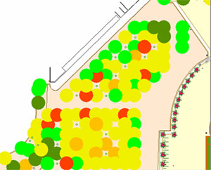 Image de l’état phytosanitaire des arbres du quinconce rénové en 2013. Le vert foncé correspond à un excellent état phytosanitaire, le vert clair à un bon état, le jaune à un état moyen, l’orange à un mauvais état et le rouge à un très mauvais état.
